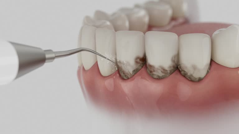 Reliable Dental contractor in Stonegate, CO by Dentist Open Now